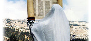 Jewish Man Reading Torah Scroll
