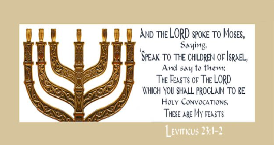 Leviticus 23: These are My feasts